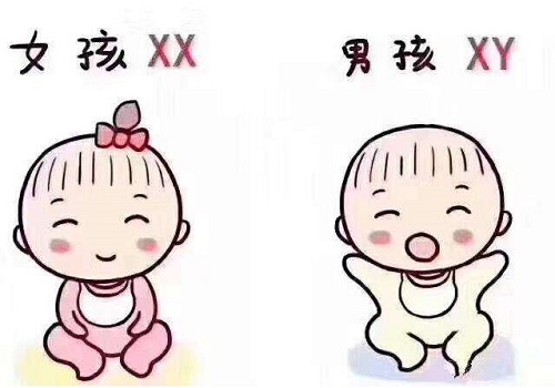 试管婴儿攻略怎么提高卵子质量？